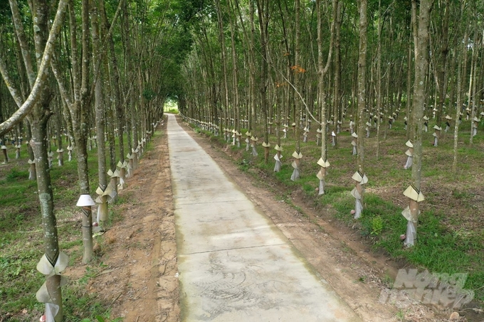 Chư Păh - dưới mái nhà rông